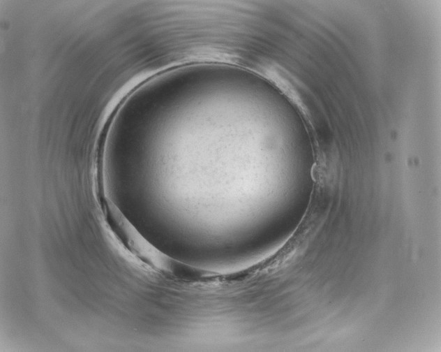 X0000076300955200609291032