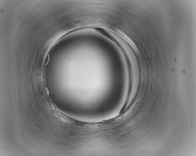 X0000076300956200609291032