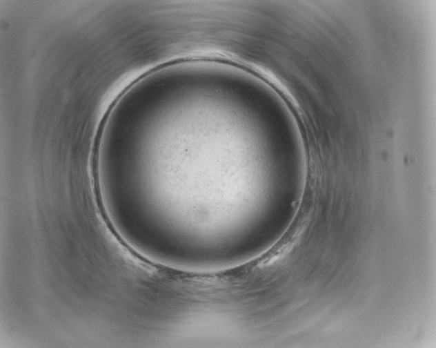 X0000076300959200609291032