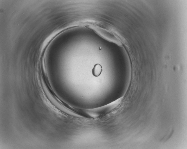 X0000076300960200609291032