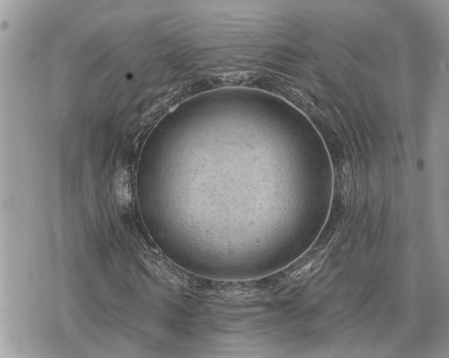 X0000076300962200609291031