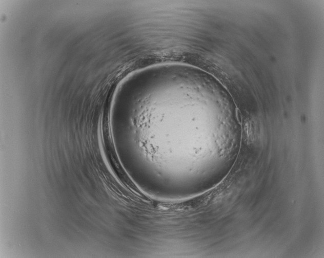 X0000076300963200609291031