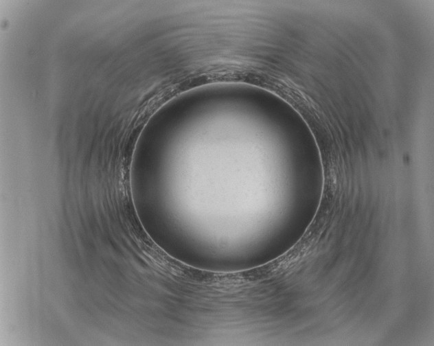 X0000076300964200609291031