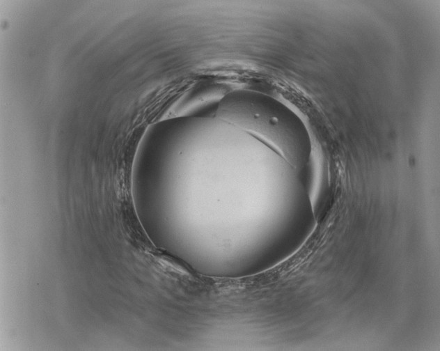 X0000076300965200609291031