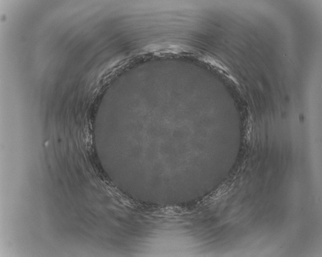 X0000076300966200609291031