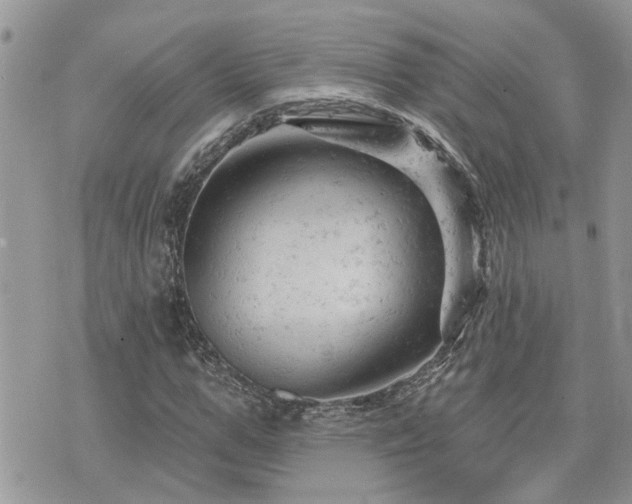 X0000076300967200609291031