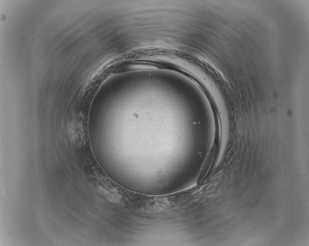 X0000076300968200609291031