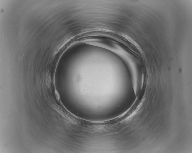 X0000076300969200609291031