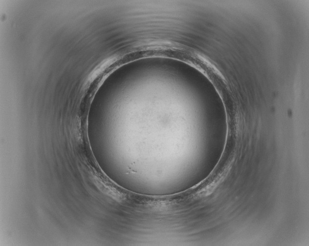 X0000076300970200609291031