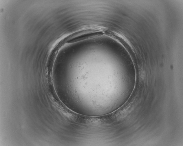 X0000076300971200609291031