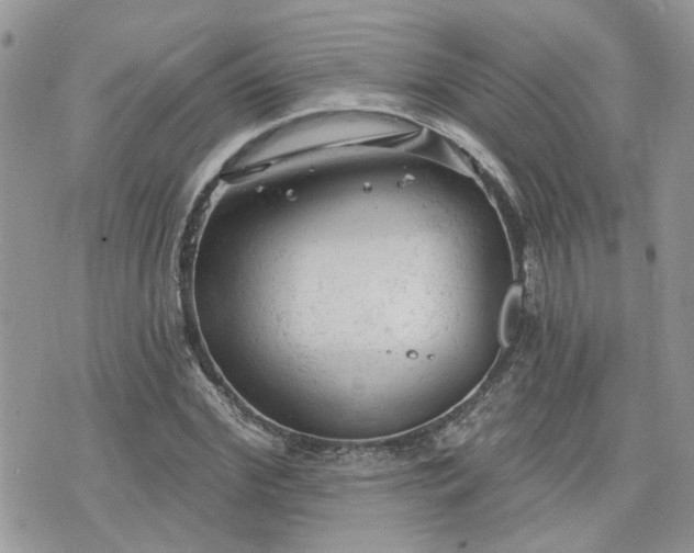 X0000076300972200609291031