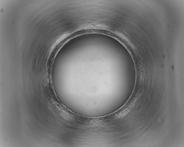 X0000076300974200609291031