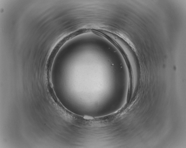 X0000076300976200609291031