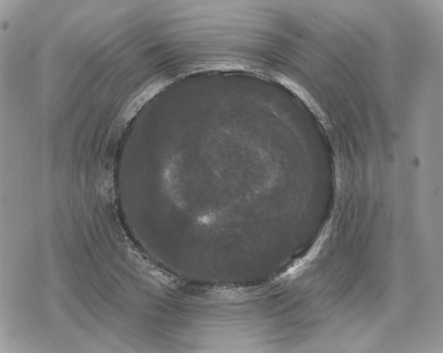 X0000076300977200609291031