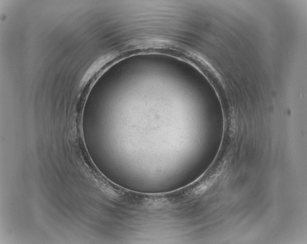 X0000076300978200609291031