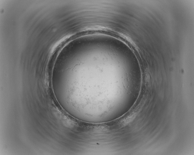 X0000076300979200609291031