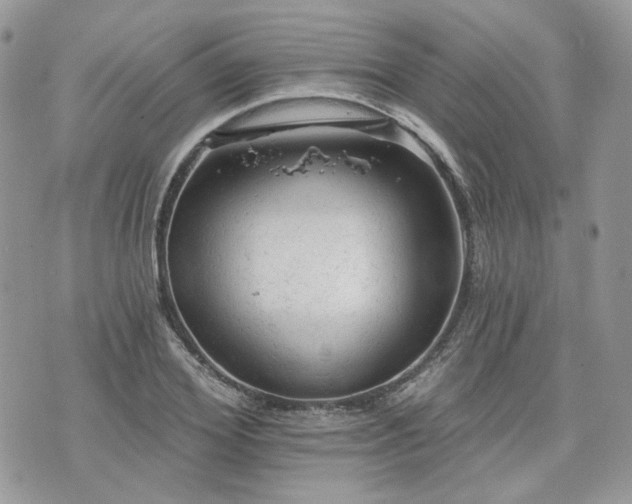 X0000076300980200609291031