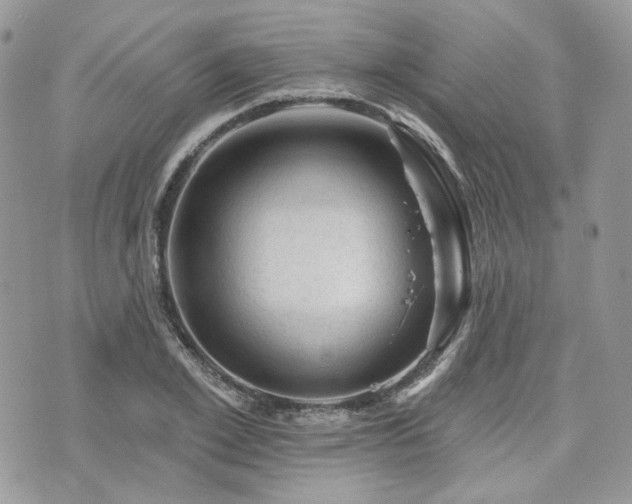 X0000076300981200609291031