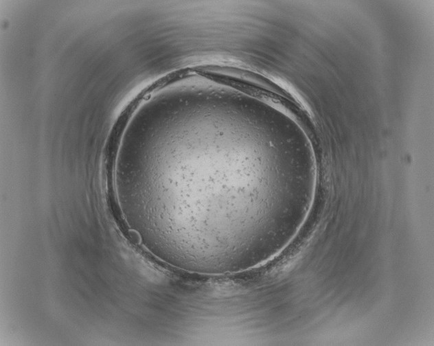 X0000076300983200609291031