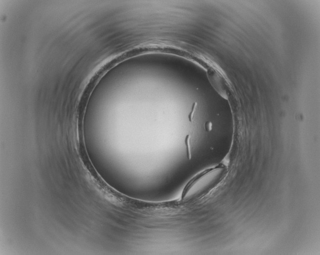 X0000076300984200609291031