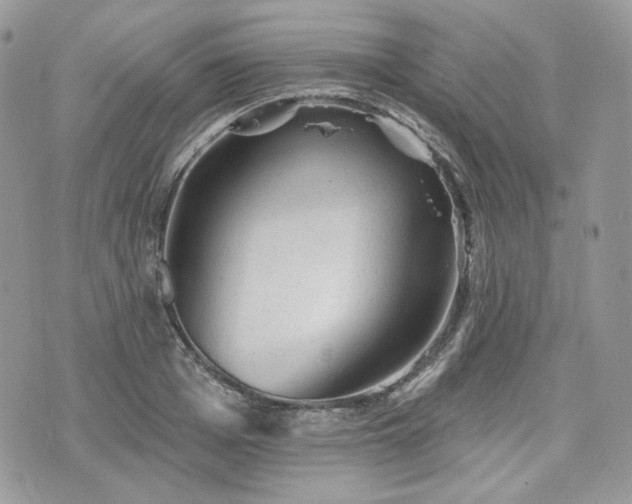 X0000076300985200609291031