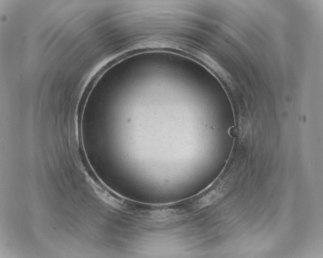 X0000076300988200609291031