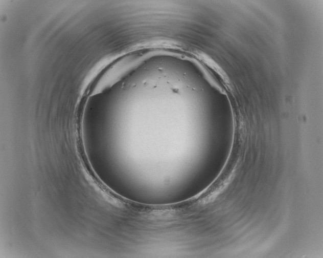 X0000076300989200609291031