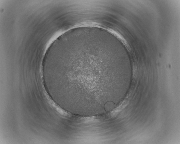 X0000076300990200609291031