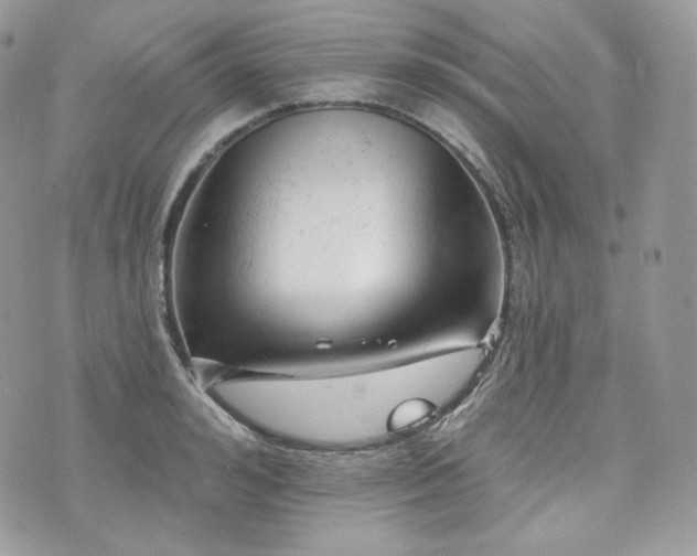 X0000076300992200609291031