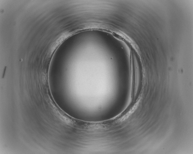 X0000076300993200609291031