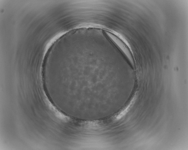 X0000076300995200609291031