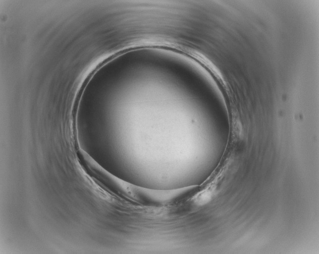 X0000076300996200609291031