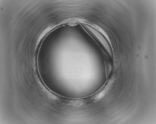 X0000076300997200609291031