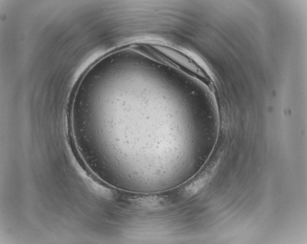 X0000076300999200609291031