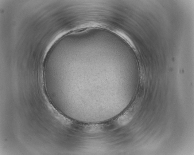 X0000076301000200609291031