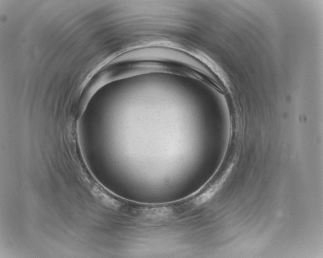 X0000076301001200609291031