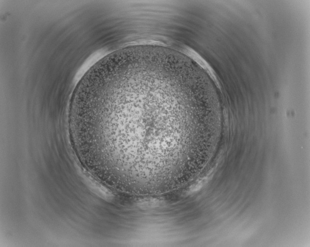 X0000076301002200609291031