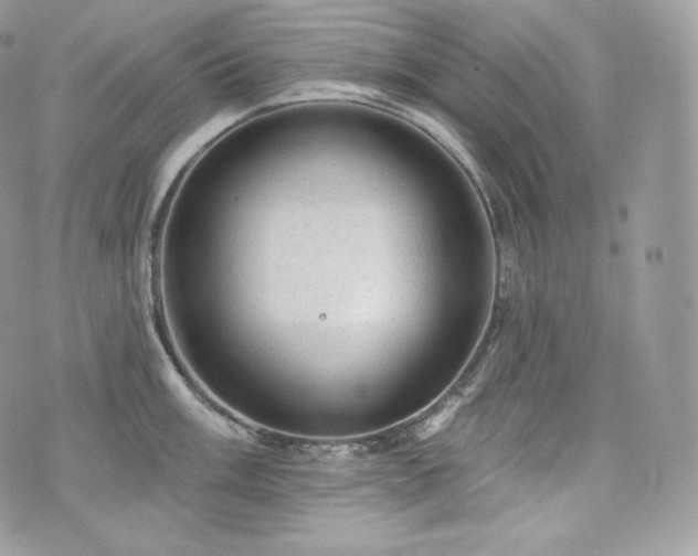 X0000076301003200609291031