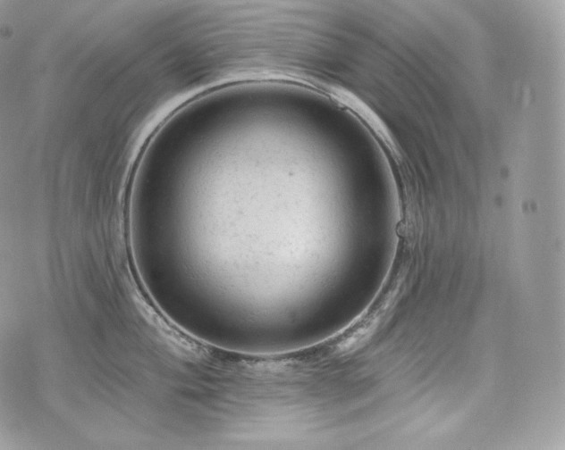 X0000076301004200609291031