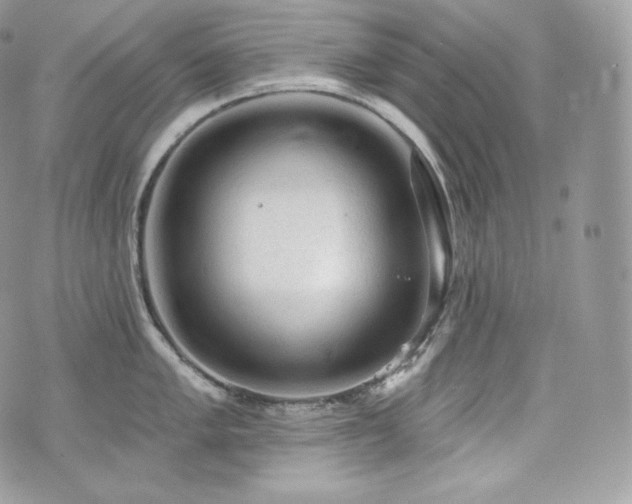 X0000076301005200609291031