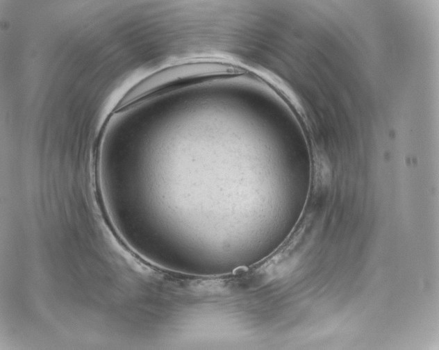 X0000076301006200609291031