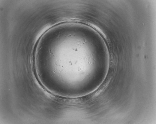 X0000076301007200609291031