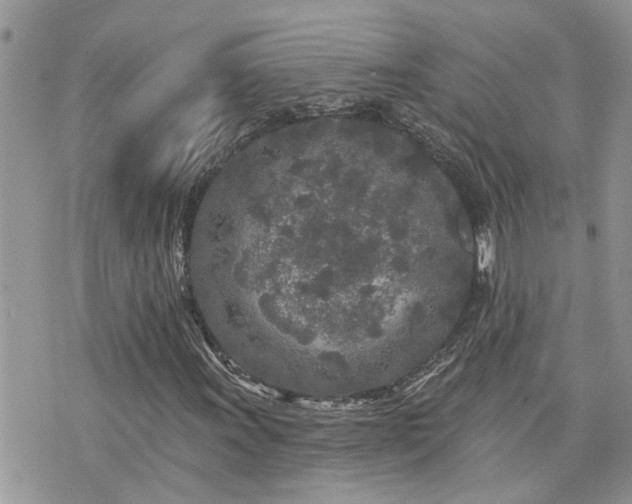 X0000076301011200609291030