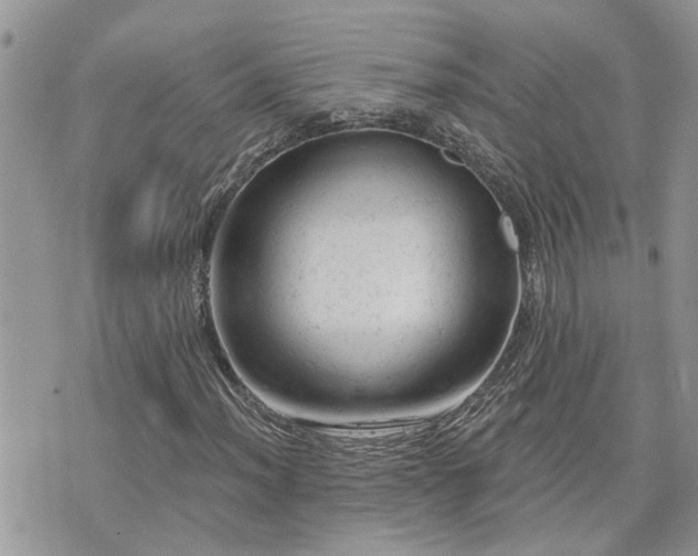 X0000076301012200609291030