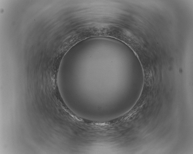 X0000076301013200609291030