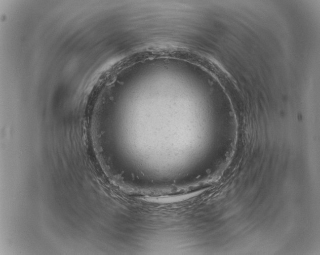 X0000076301016200609291030