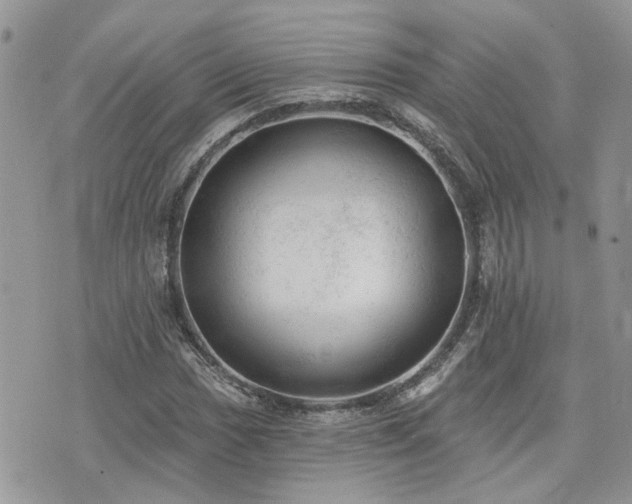 X0000076301017200609291030