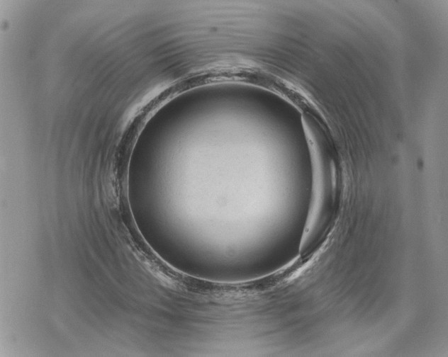 X0000076301018200609291030