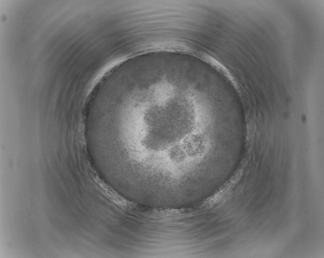 X0000076301019200609291030