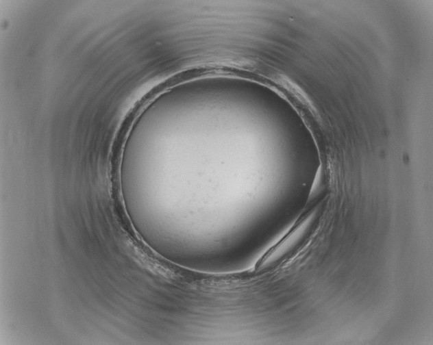 X0000076301020200609291030